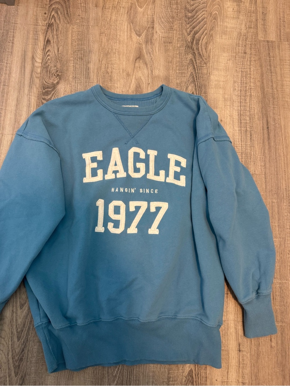 American Eagle Outfitters Blue Crewneck Sweatshirt with White Lettering